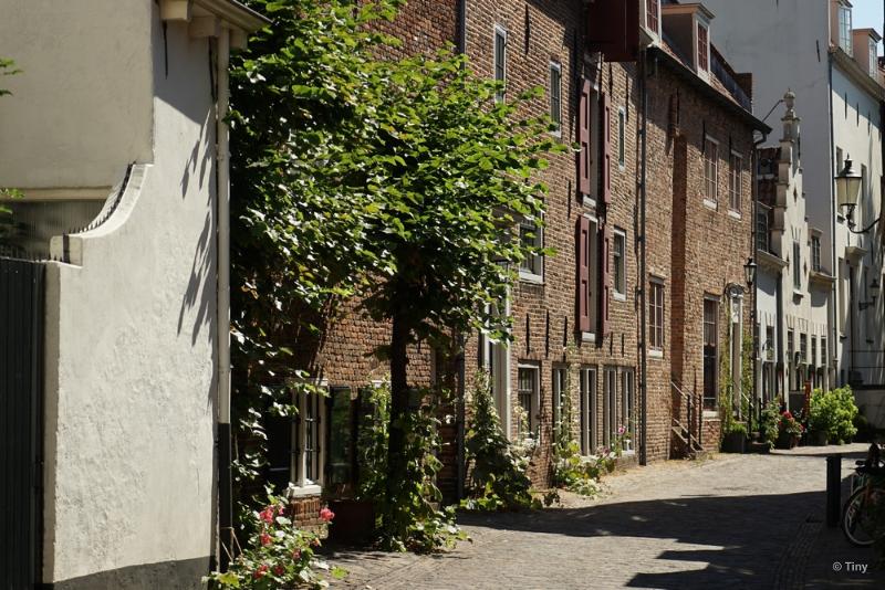 bdFoto 10.JPG - Amersfoort